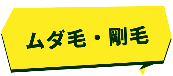 ムダ毛・剛毛